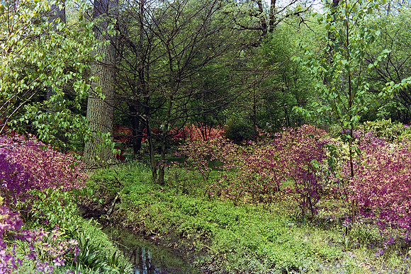 Michigan Park