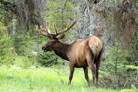 Rocky Mountain NP