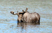Rocky Mountain NP