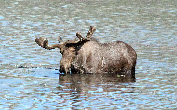 Rocky Mountain NP