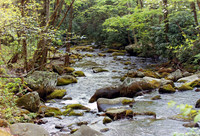 Smoky Mountains
