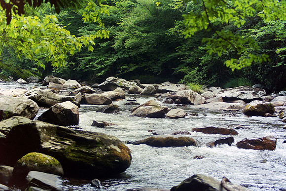 Smoky Mountains