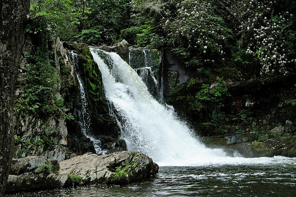 Smoky Mountains