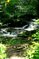 Smoky Mountains