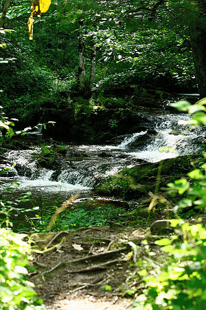 Smoky Mountains