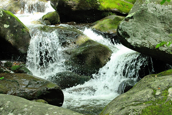 Smoky Mountains