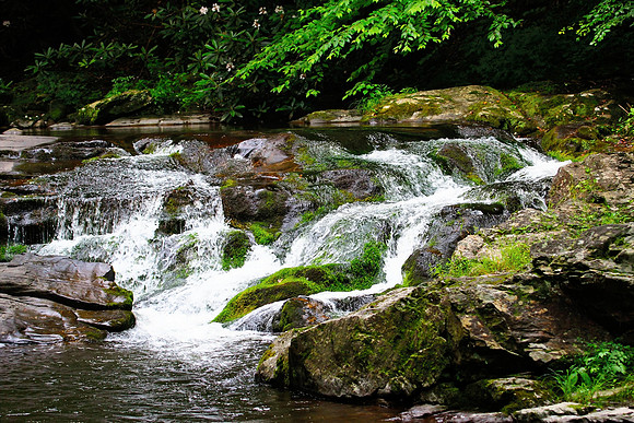 Smoky Mountains