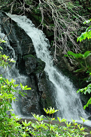 Smoky Mountains
