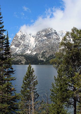 Grand Tetons