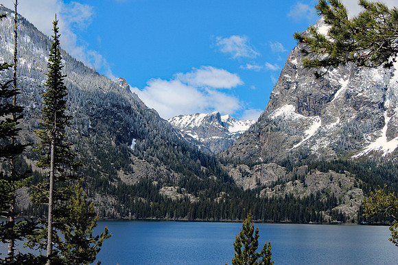 Grand Tetons
