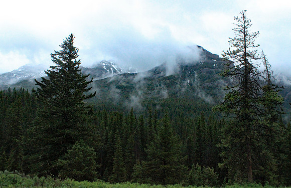Yellowstone