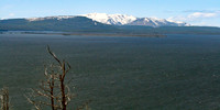 Yellowstone