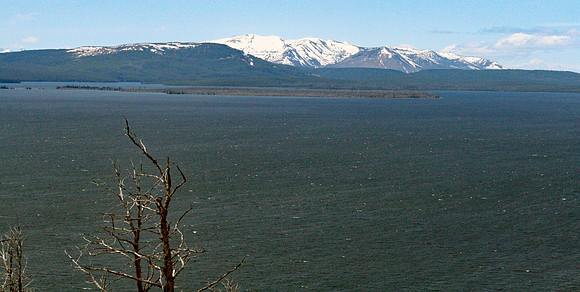 Yellowstone