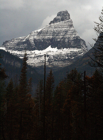 Glacier