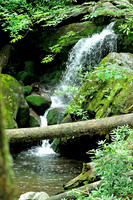 Smoky Mountains