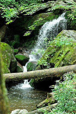 Smoky Mountains