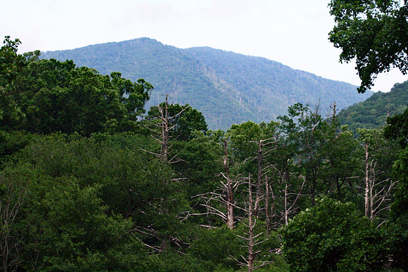 Smoky Mountains