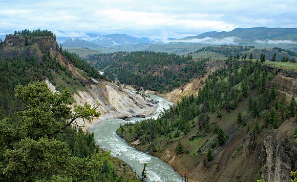 Yellowstone