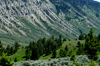 Yellowstone