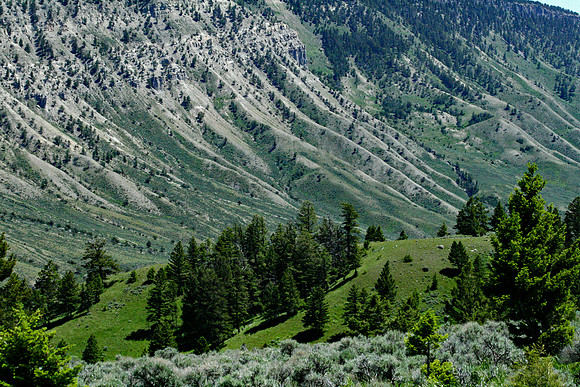 Yellowstone