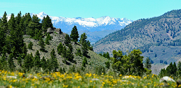 Yellowstone
