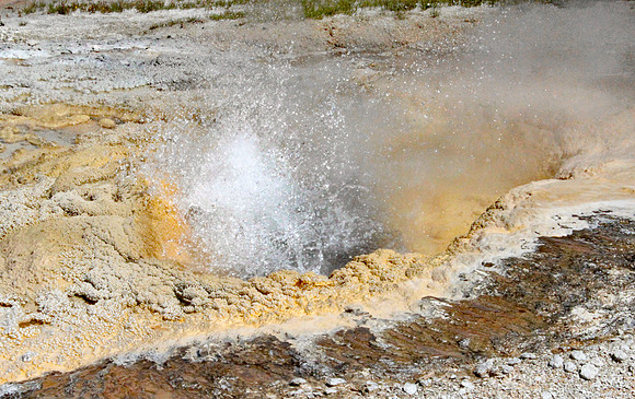 Yellowstone