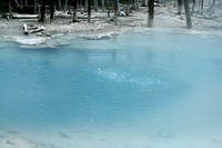 Yellowstone