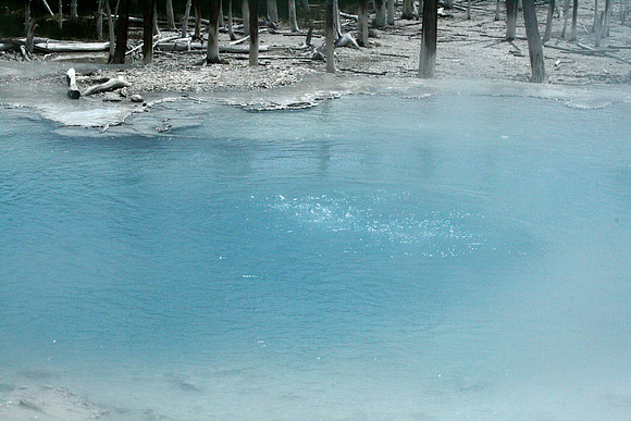 Yellowstone