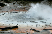 Yellowstone