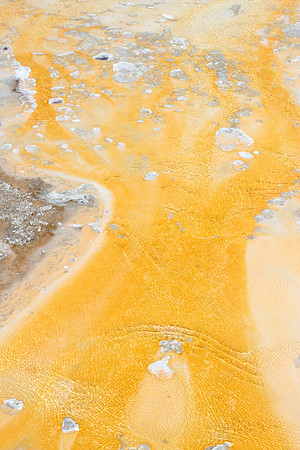 Yellowstone