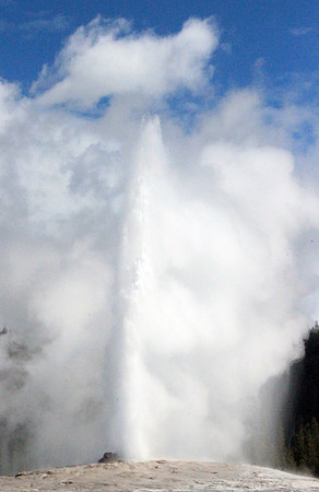 Yellowstone