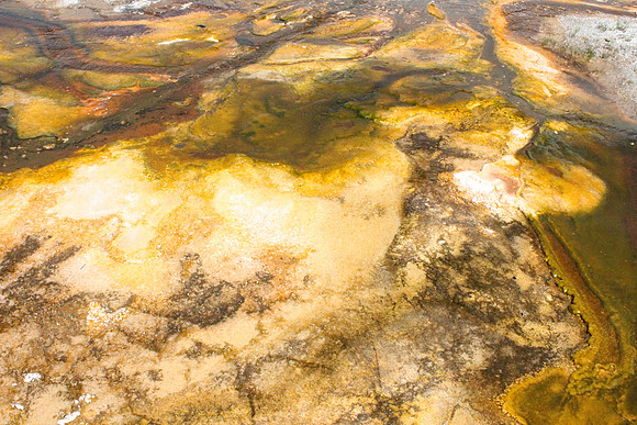 Yellowstone