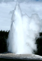 Yellowstone - Old Faithful
