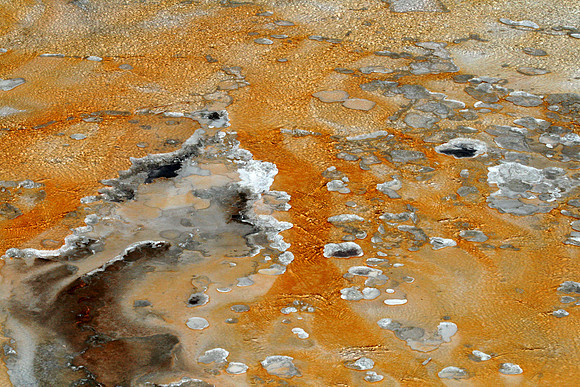 Yellowstone