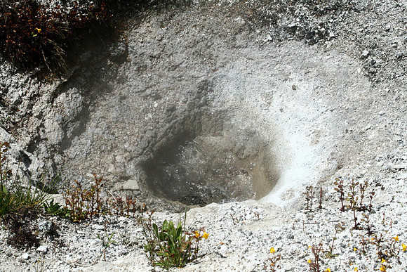 Yellowstone