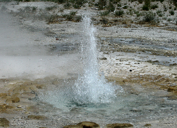 Yellowstone