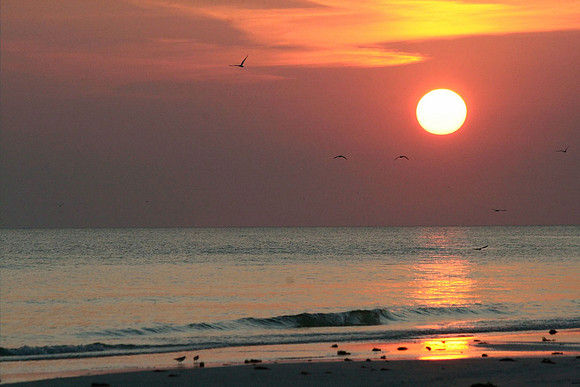 Tampa Bay