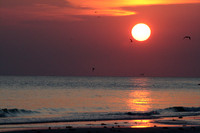 Tampa Bay