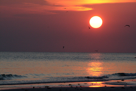 Tampa Bay