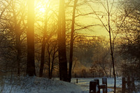 Michigan Park