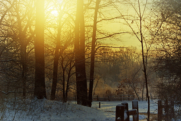 Michigan Park