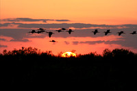 Loxahatchee