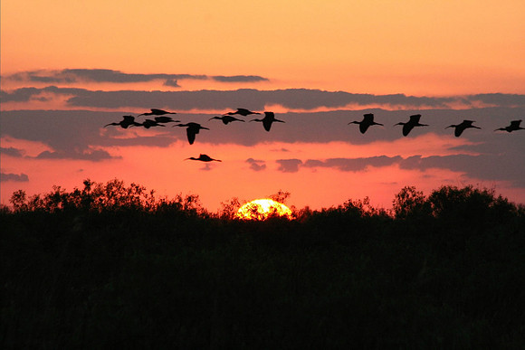 Loxahatchee