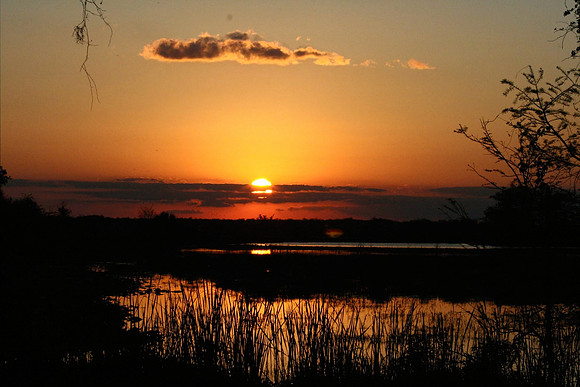 Loxahatchee