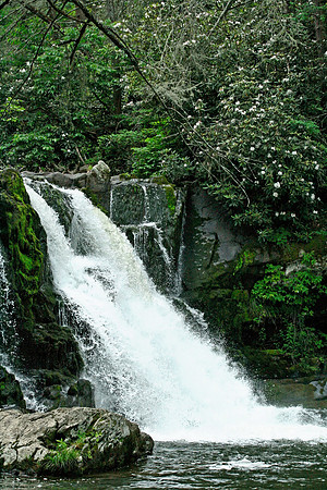 Smoky Mountains