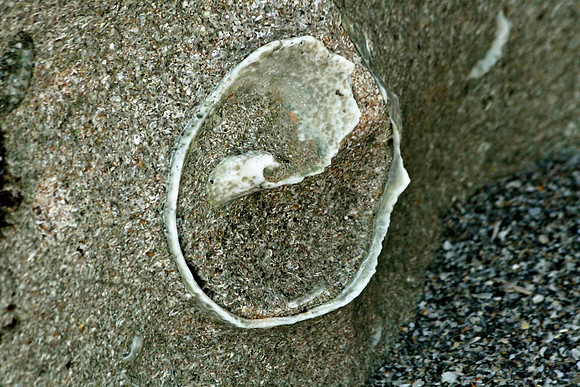 Blowing Rocks