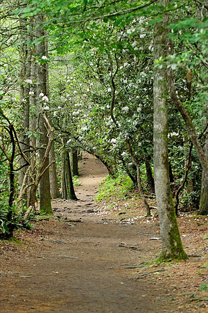 Smoky Mountains