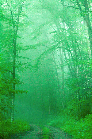 Smoky Mountains