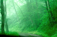 Smoky Mountains