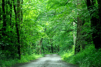Smoky Mountains